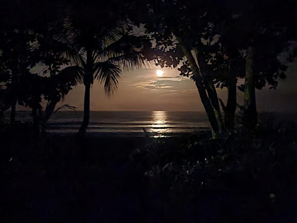 Cabinas El Muellecito Hotel Tortuguero Bagian luar foto