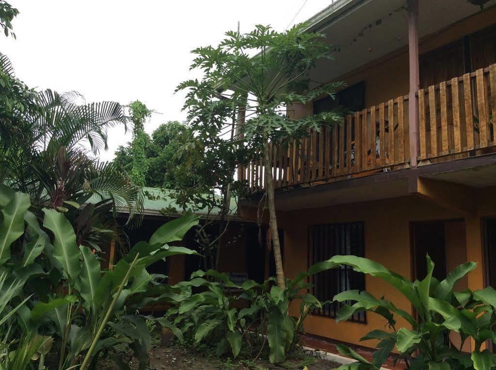 Cabinas El Muellecito Tortuguero Bagian luar foto